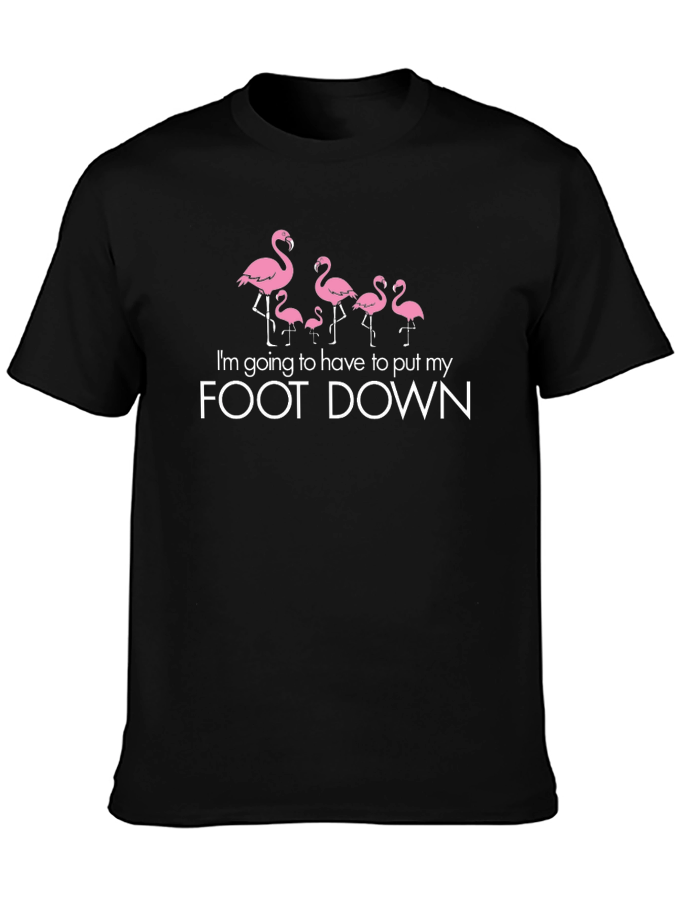 Flamingo Foot Down Graphic Tee