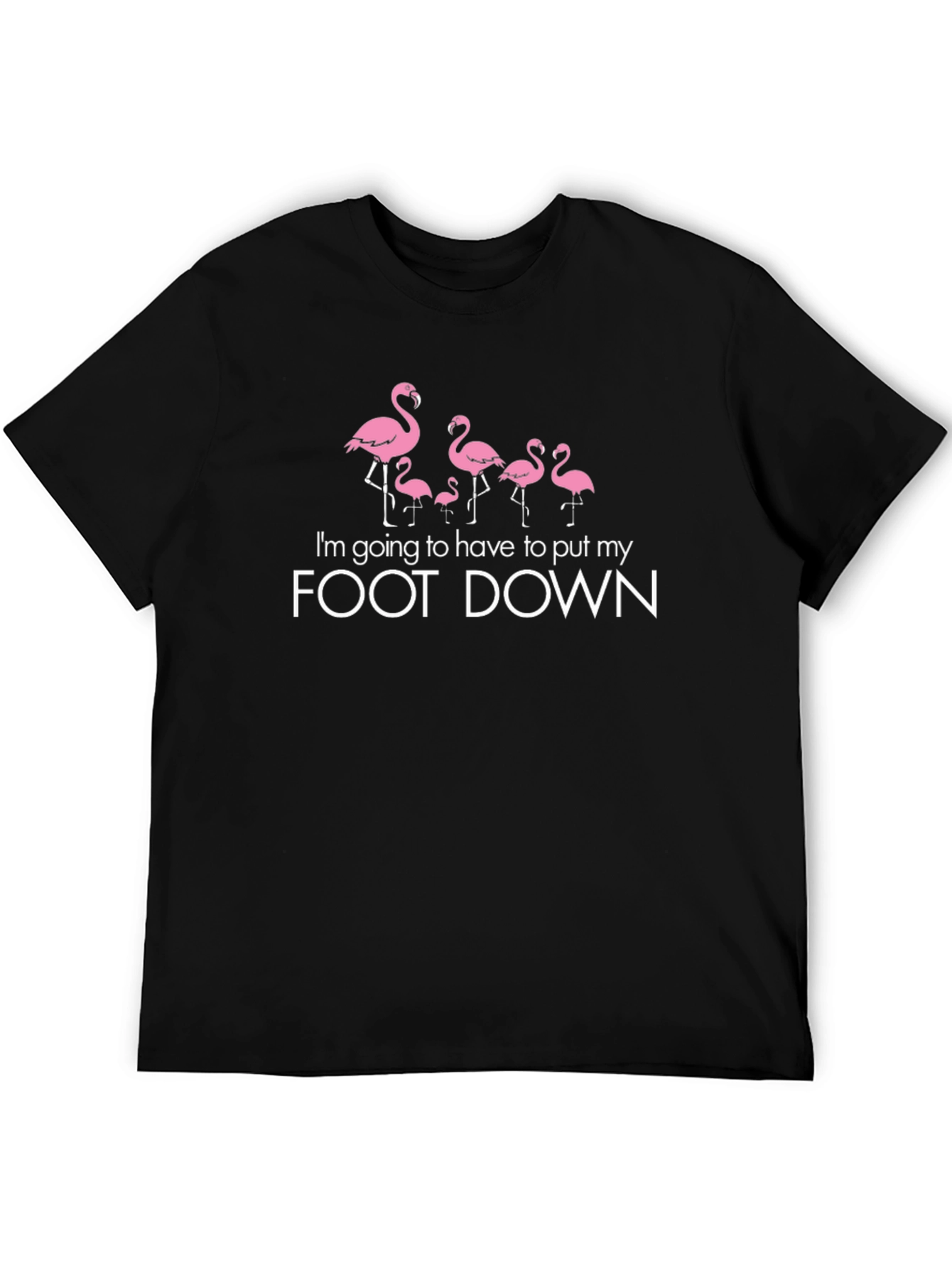 Flamingo Foot Down Graphic Tee