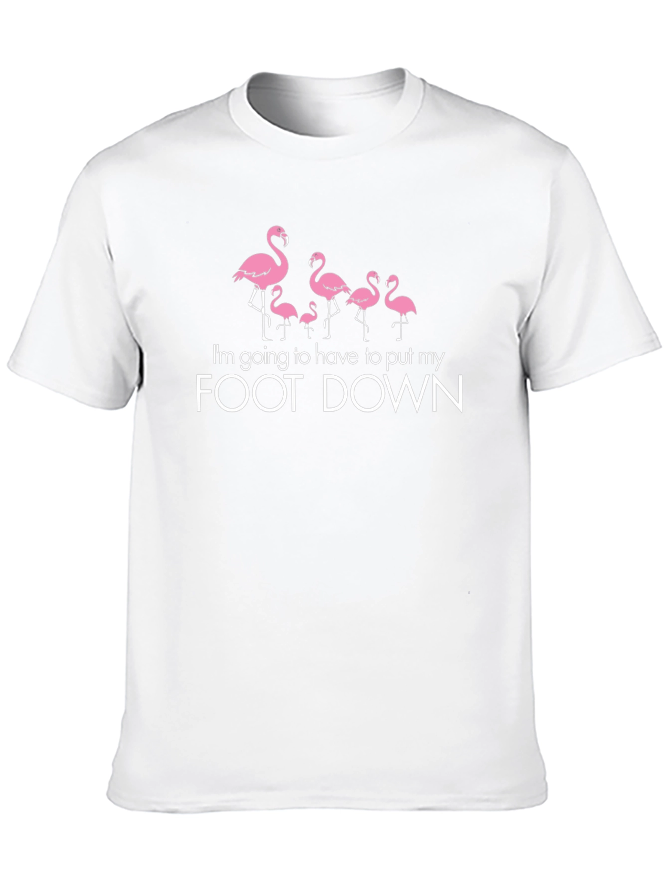 Flamingo Foot Down Graphic Tee