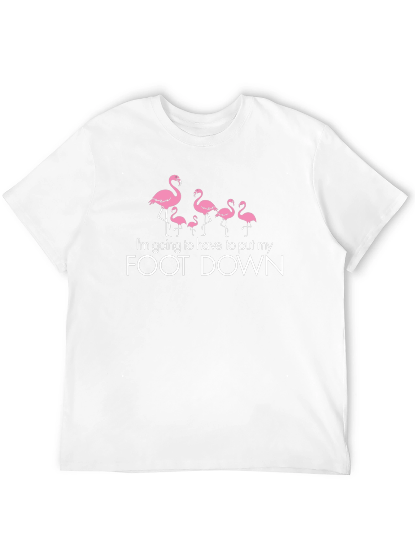 Flamingo Foot Down Graphic Tee