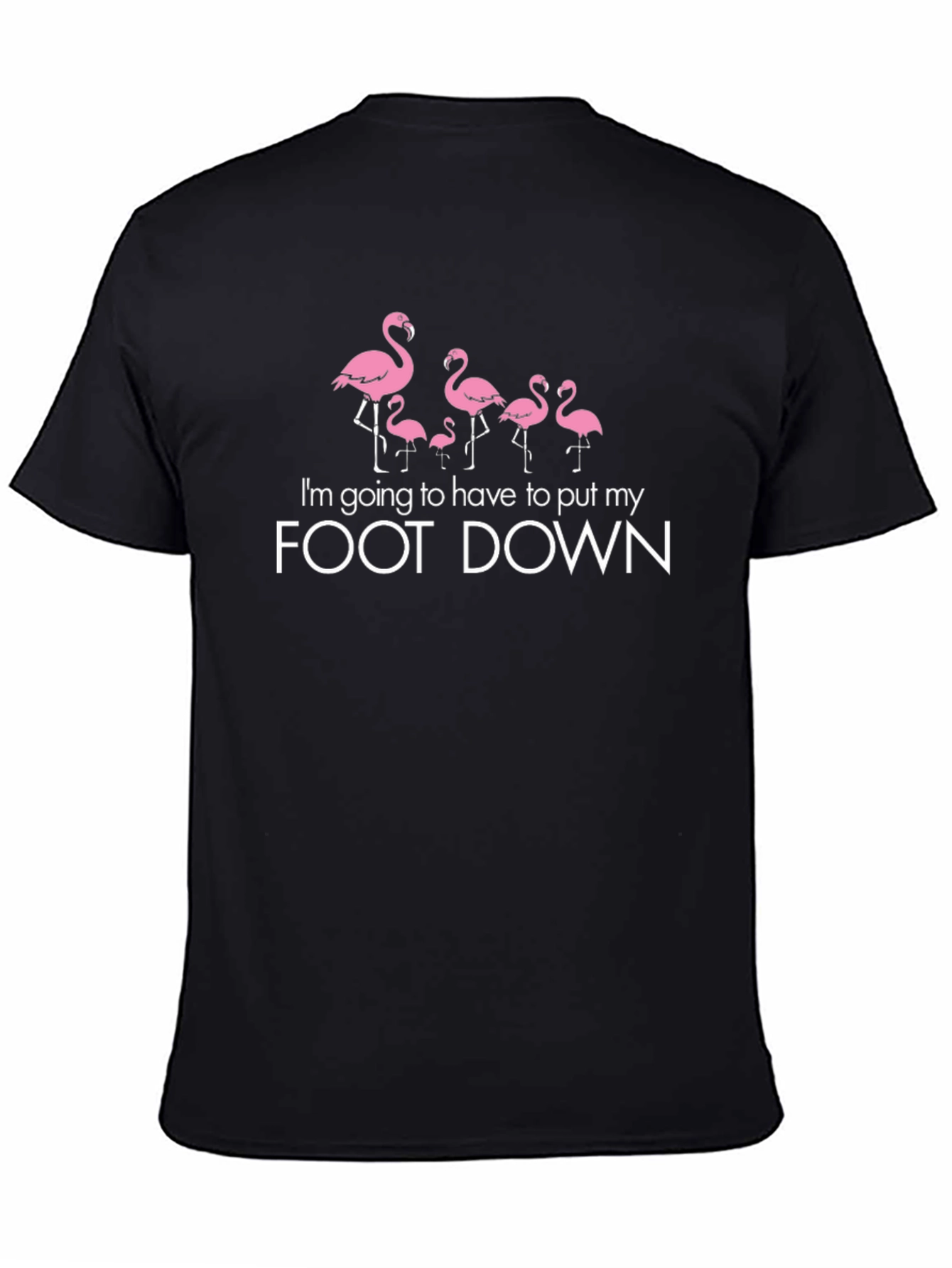 Flamingo Foot Down Graphic Tee